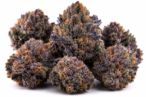 41 Cherries strain