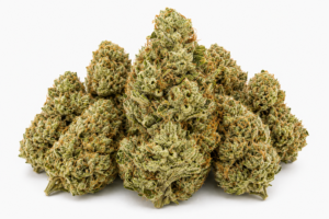Motorbreath Strain