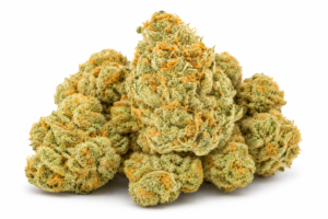 Strawberry Guava strain