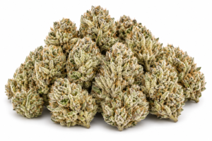 biscotti strain