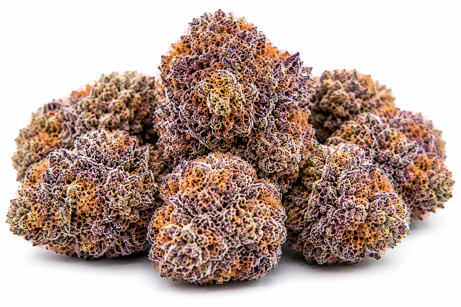 bubblegum runtz strain