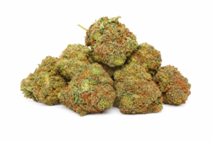 georgia pie strain