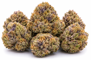 guava cake strain