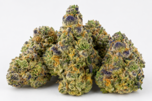 gumbo strain