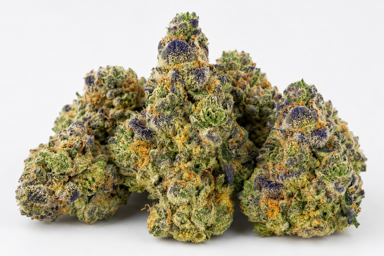 gumbo strain