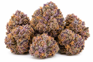 purple nerds strain