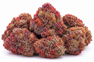 red runtz strain