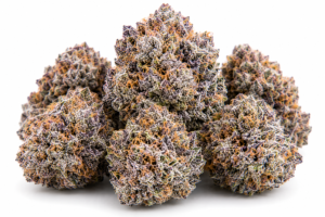 rs54 strain