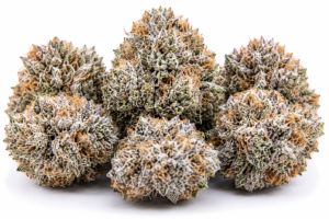 white cherry strain