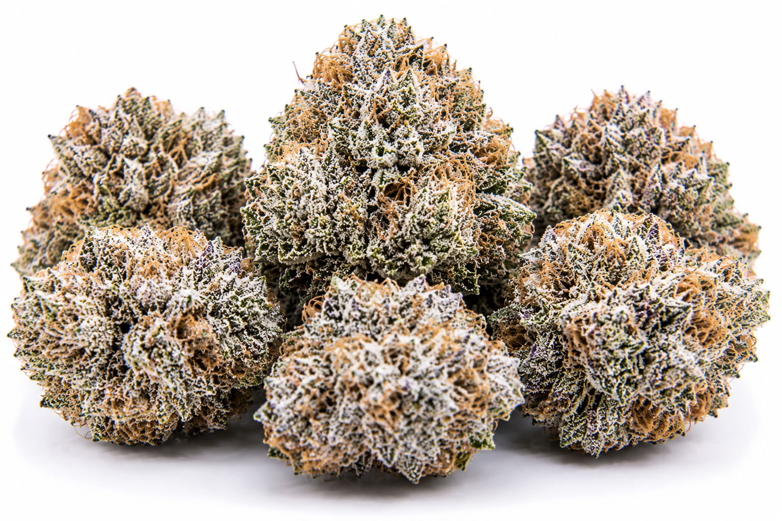 white cherry strain