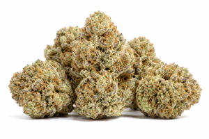 white nerds strain